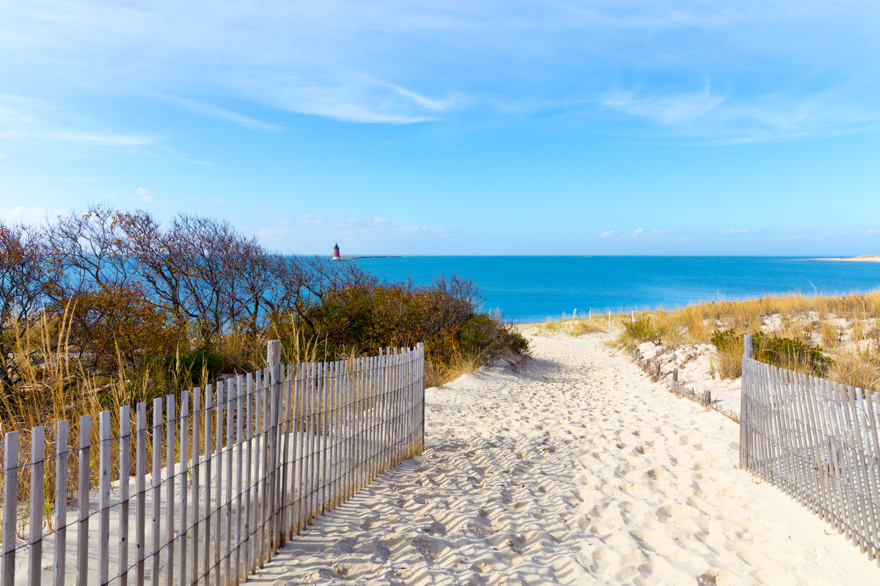 beautiful, sunny, sandy Delaware beach as a popular tourist destination 