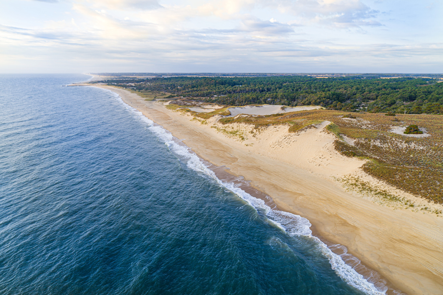 waves rolling onto sandy beach in Cape Henlopen State Park, Delaware